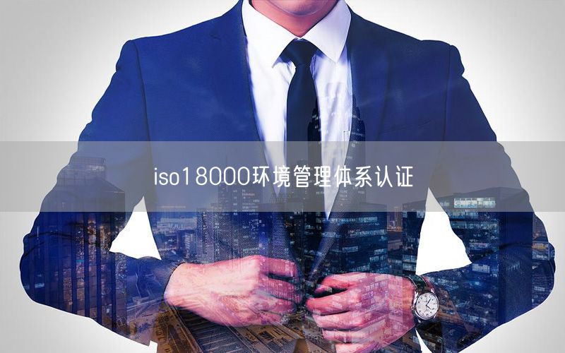 iso18000環境管理體系認證(28)