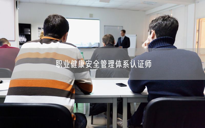 職業(yè)健康安全管理體系認證師(0)