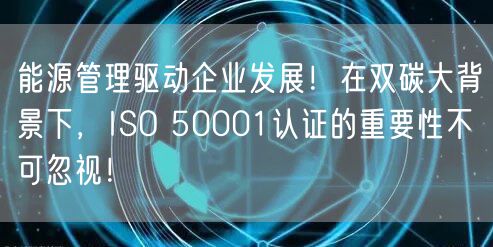 能源管理驅(qū)動企業(yè)發(fā)展！在雙碳大背景下，ISO 50001認證的重要性不可忽視！(6)